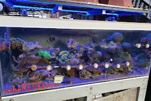 Unbereefable Marine Aquarium Supply image