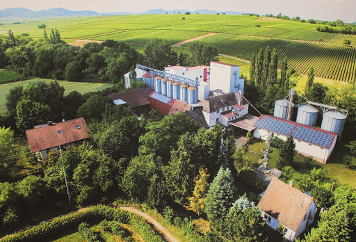 Bischoff-Mühle unter Billigheim-Ingenheim, 