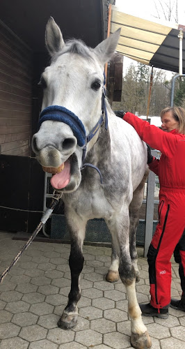 Tier Shiatsu Schule - Schule