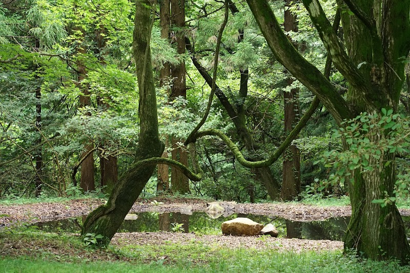 赤城自然園 生活の森