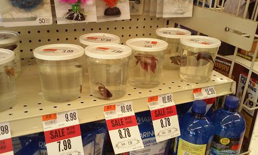 Pet Supply Store «Pet Supplies Plus», reviews and photos, 2155 Delaware Ave, Buffalo, NY 14216, USA