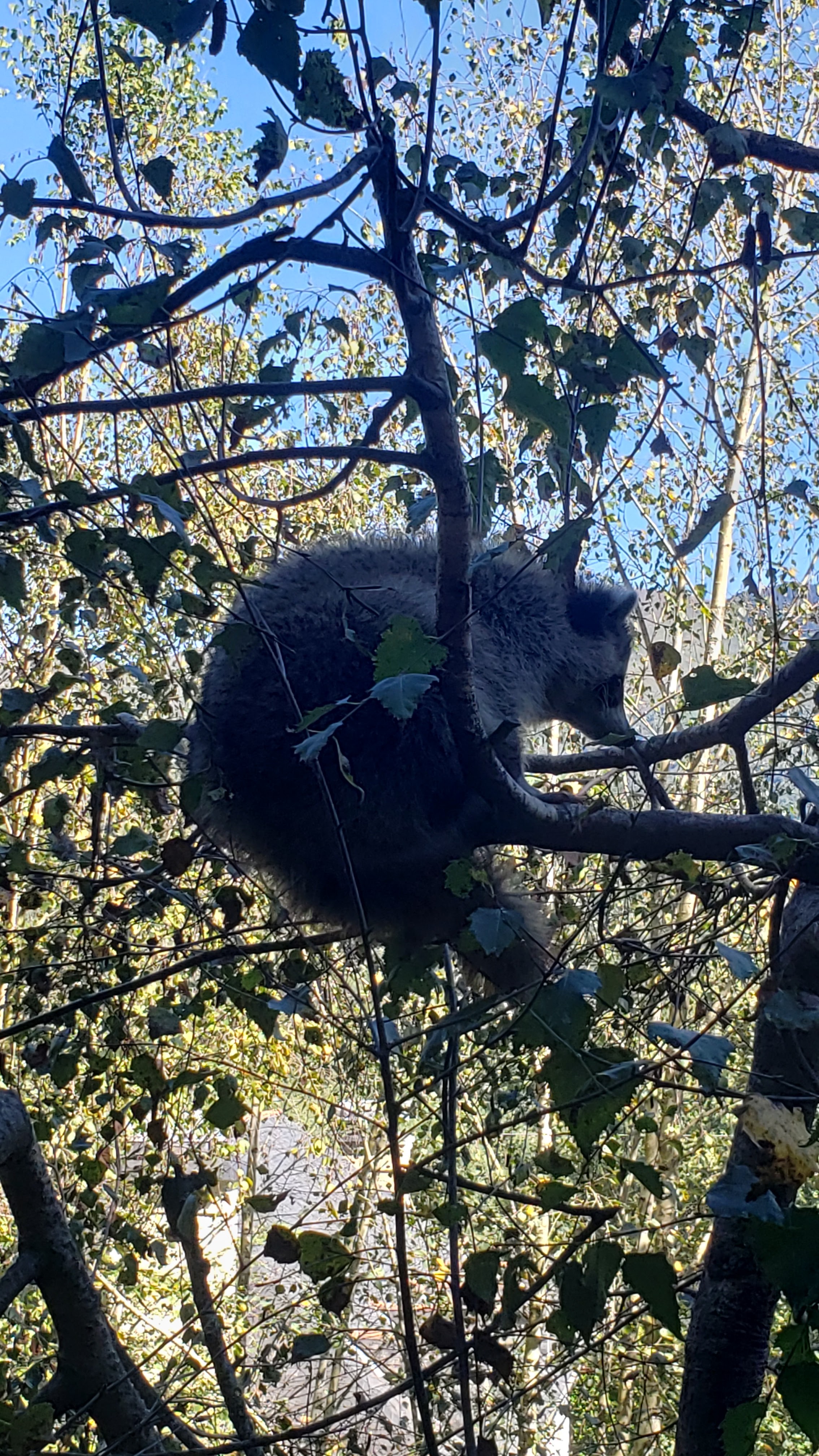 Photo n° 21 de l'avis de Cris.9 fait le 05/10/2023 à 13:30