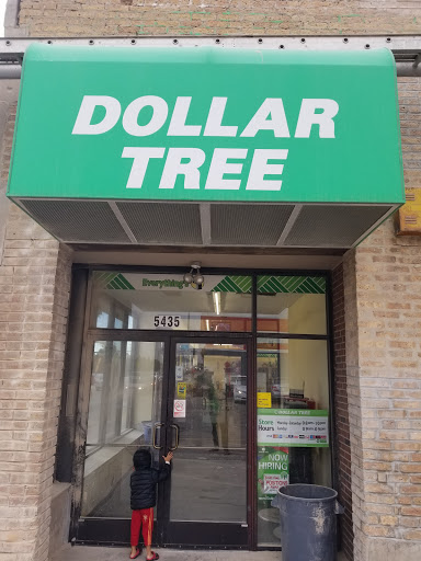 Dollar Store «Dollar Tree», reviews and photos, 5435 N Harlem Ave, Chicago, IL 60656, USA