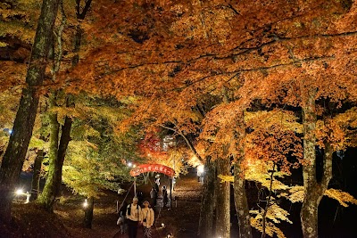 旭日丘湖畔緑地公園