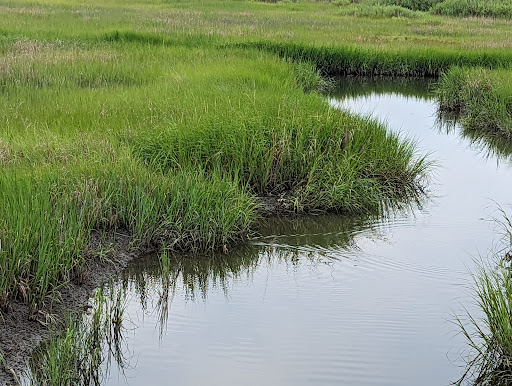 State Park «Silver Sands State Park», reviews and photos, 1 Silver Sands Park Way, Milford, CT 06460, USA