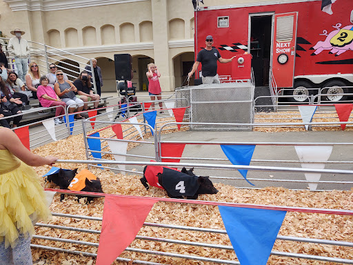 Fairground «Del Mar Fairgrounds», reviews and photos, 2260 Jimmy Durante Blvd, Del Mar, CA 92014, USA