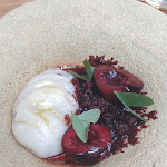 Photo n°6 de l'avis de Holger.a fait le 11/08/2021 à 18:22 sur le  Olio Su Tavola à Lucca