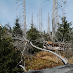 Photo n°5 de l'avis de Boris.e fait le 20/10/2020 à 14:02 sur le  Berggasthof Dreisessel à Neureichenau