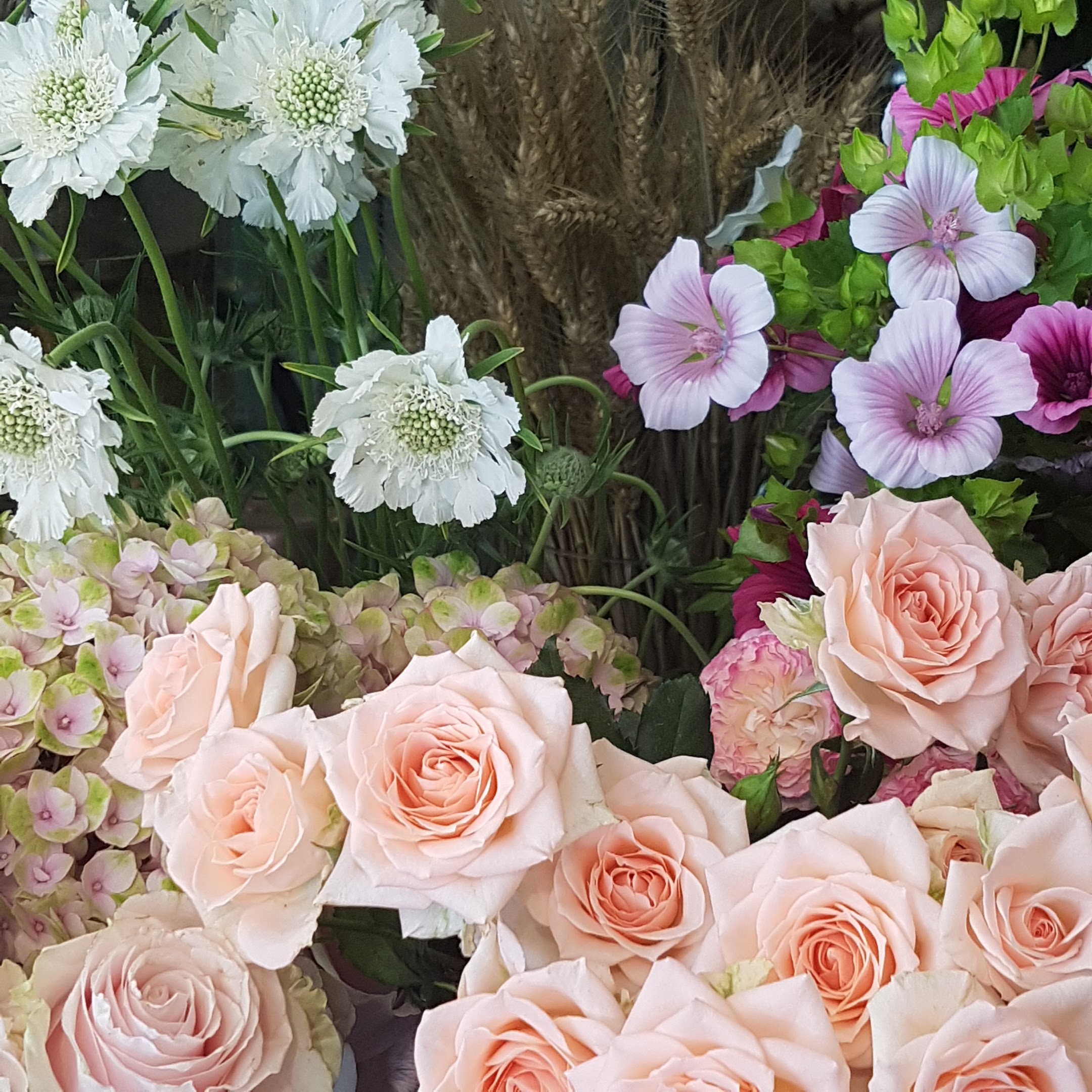Photo n° 8 de l'avis de Meengyeong.u fait le 21/06/2018 à 13:08