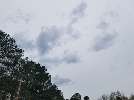 National Park «Petersburg National Battlefield Park Trailhead», reviews and photos, 5001 Siege Rd, Petersburg, VA 23804, USA