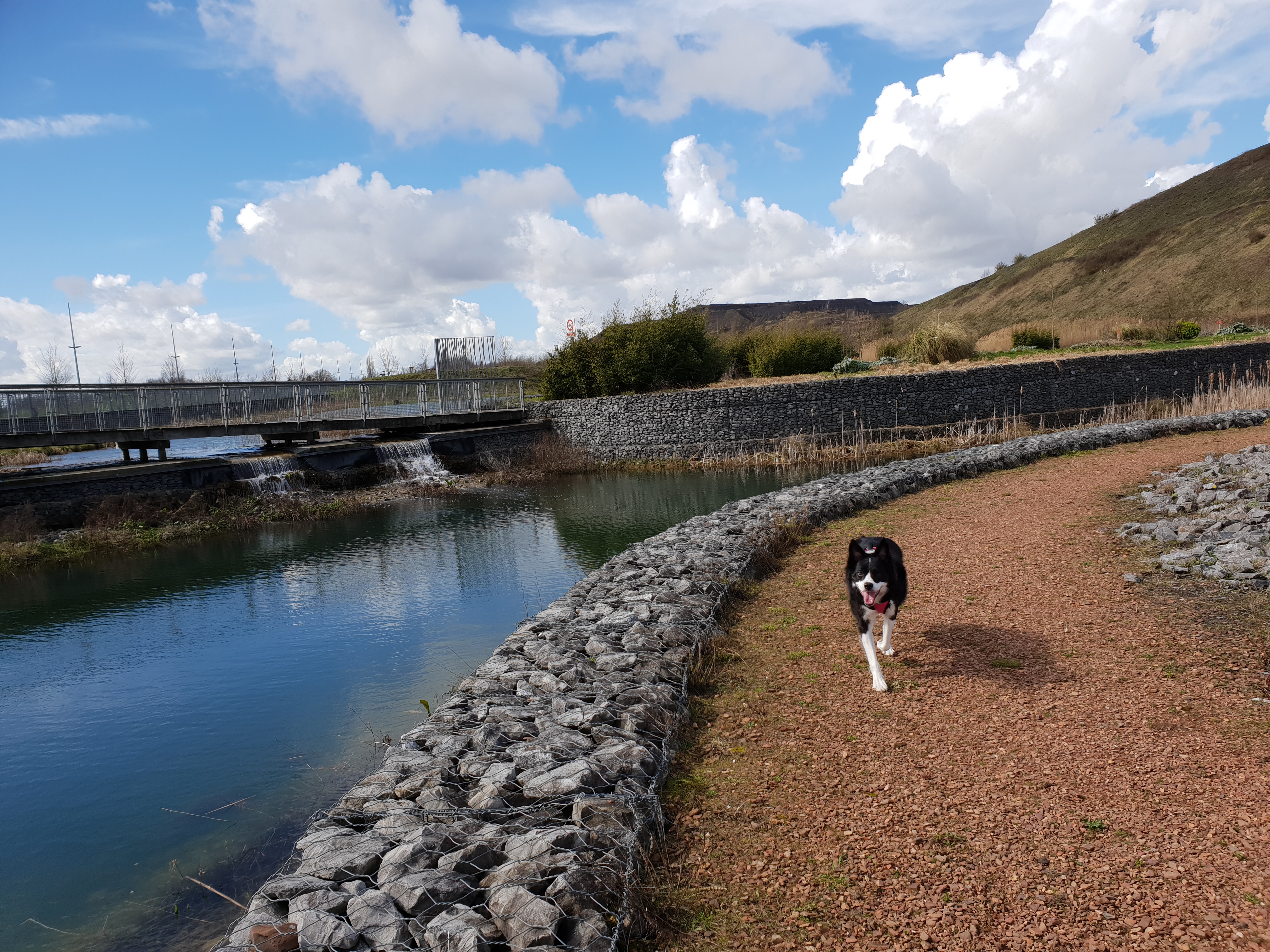 Photo n° 5 de l'avis de Cassandre.I fait le 19/03/2019 à 18:50
