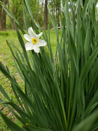 History Museum «Benjamin Banneker Historical», reviews and photos, 300 Oella Ave, Catonsville, MD 21228, USA
