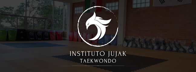 Instituto Jujak Taekwondo en Loma Florida, Apizaco, Tlaxcala.