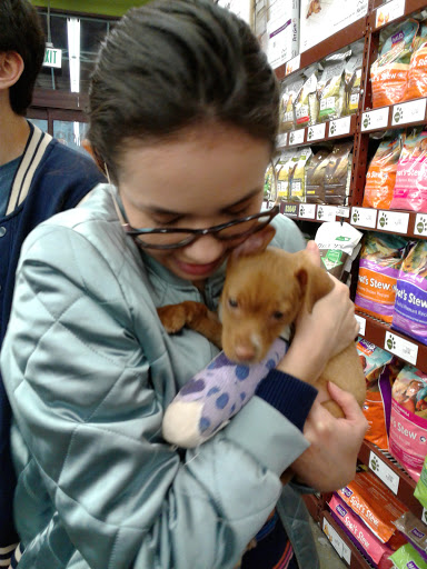 Pet Supply Store «Pet Food Express», reviews and photos, 3610 Mt Diablo Blvd, Lafayette, CA 94549, USA