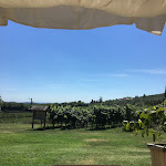 Photo n°4 de l'avis de Isabella.o fait le 13/08/2017 à 14:11 sur le  Costa degli Ulivi à Fumane