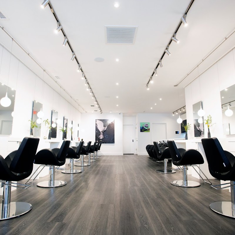 Paulo Lanfredi Salon