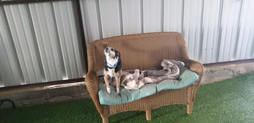 Auto Repair Shop «Hodges Automotive», reviews and photos, 6521 Colleyville Blvd, Colleyville, TX 76034, USA