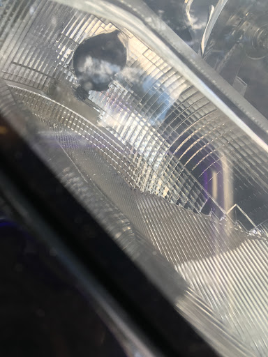 Used Car Dealer «Car Choice», reviews and photos, 5001 Virginia Beach Blvd, Virginia Beach, VA 23462, USA