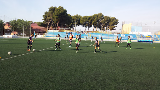 Fútbol