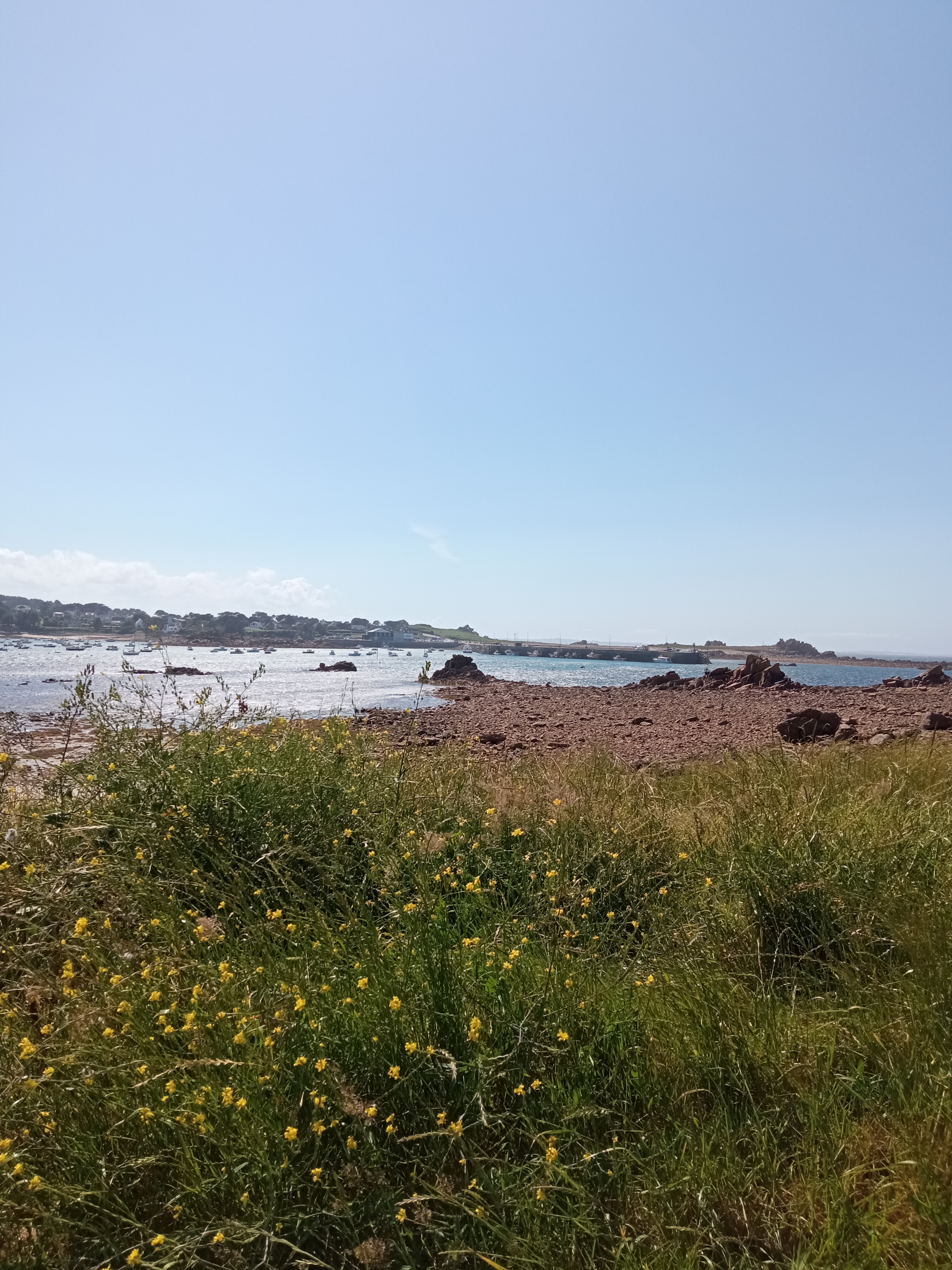 Photo n° 1 de l'avis de yvon.l fait le 25/06/2023 à 19:00