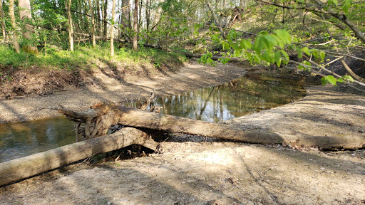 Nature Preserve «Fern Cliff Nature Preserve», reviews and photos, W County Rd 375 S, Greencastle, IN 46135, USA