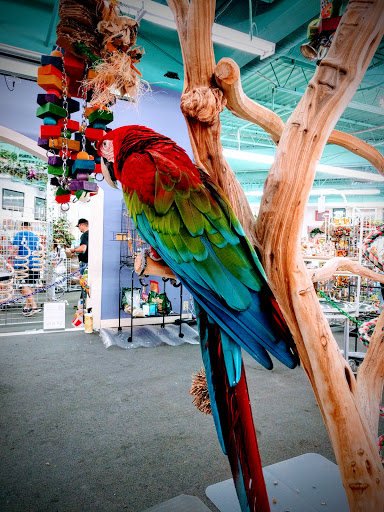 Bird Shop «Varietees Bird Shop», reviews and photos, 60 Meramec Valley Plaza, Valley Park, MO 63088, USA