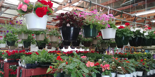 Garden Center «Agway», reviews and photos, 1025 Green St, Greensburg, PA 15601, USA