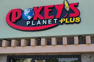 Pokeys Planet Plus image