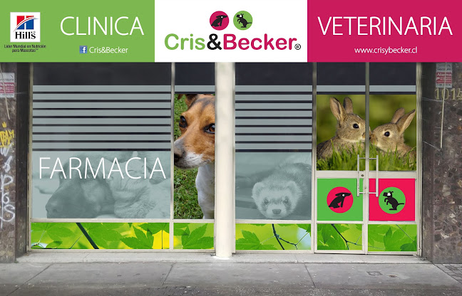Opiniones de CRIS & BECKER en Concepción - Veterinario