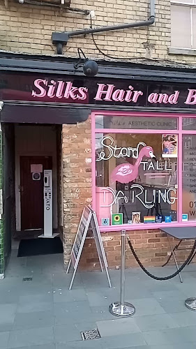Silks Hair Beauty and Tanning Salon