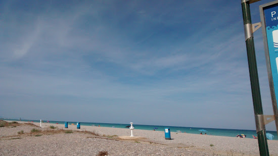 Malvarrosa Naturista