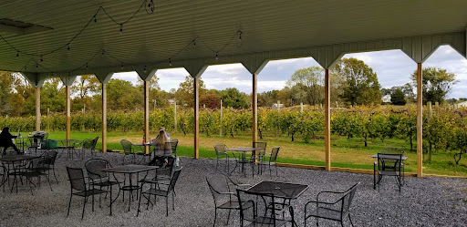 Vineyard «Romano Vineyard & Winery», reviews and photos, 15715 Bald Eagle School Rd, Brandywine, MD 20613, USA