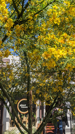 Department Store «Rains Department Store», reviews and photos, 218 E Ojai Ave, Ojai, CA 93023, USA