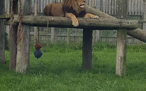 Blair Drummond Safari and Adventure Park image