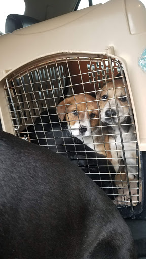 Bertie County Humane Society