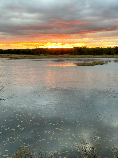 National Park «West Beach - Indiana Dunes National Lakeshore», reviews and photos, Long Lake Trail Loop, Gary, IN 46403, USA