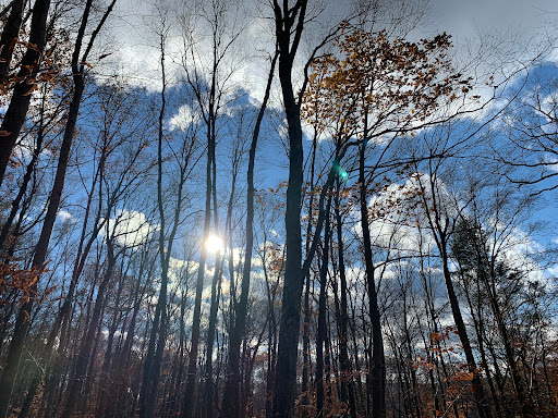 Park «Sterling Forest State Park», reviews and photos, Old Forge Rd, Tuxedo Park, NY 10987, USA