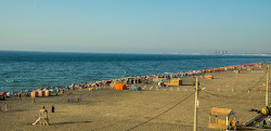 Foto di Colonel Abbas area servizi