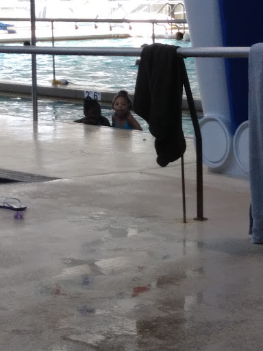 Park «Hayes Park», reviews and photos, 2936 W 85th St, Chicago, IL 60652, USA