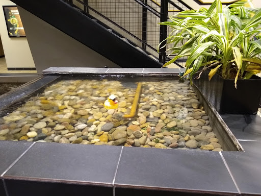 Health Club «FFC Union Station», reviews and photos, 444 W Jackson Blvd, Chicago, IL 60606, USA