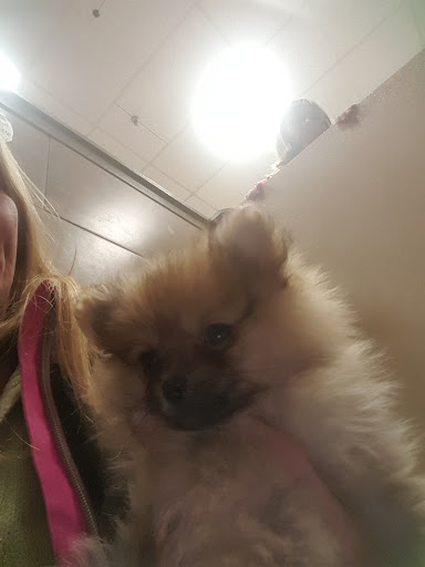 Pet Store Pet Shop Reviews And Photos 113 Palmer Park Mall Easton Pa 18045