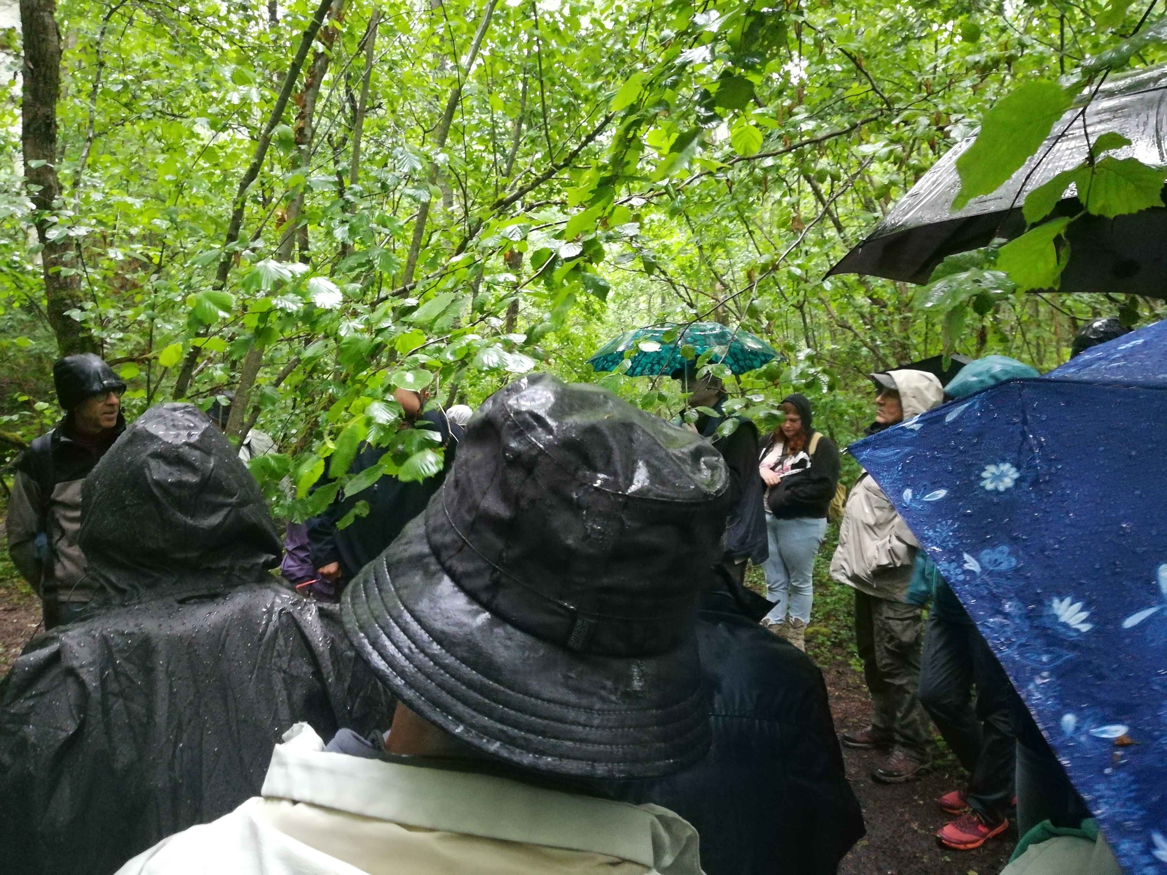 Photo n° 6 de l'avis de Nathalie.e fait le 17/06/2019 à 19:40