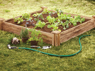 Garden Center at The Home Depot