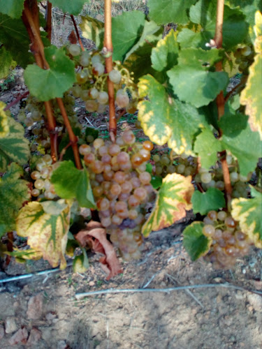 Szilvásfürdő Pihenőpark - Parkoló