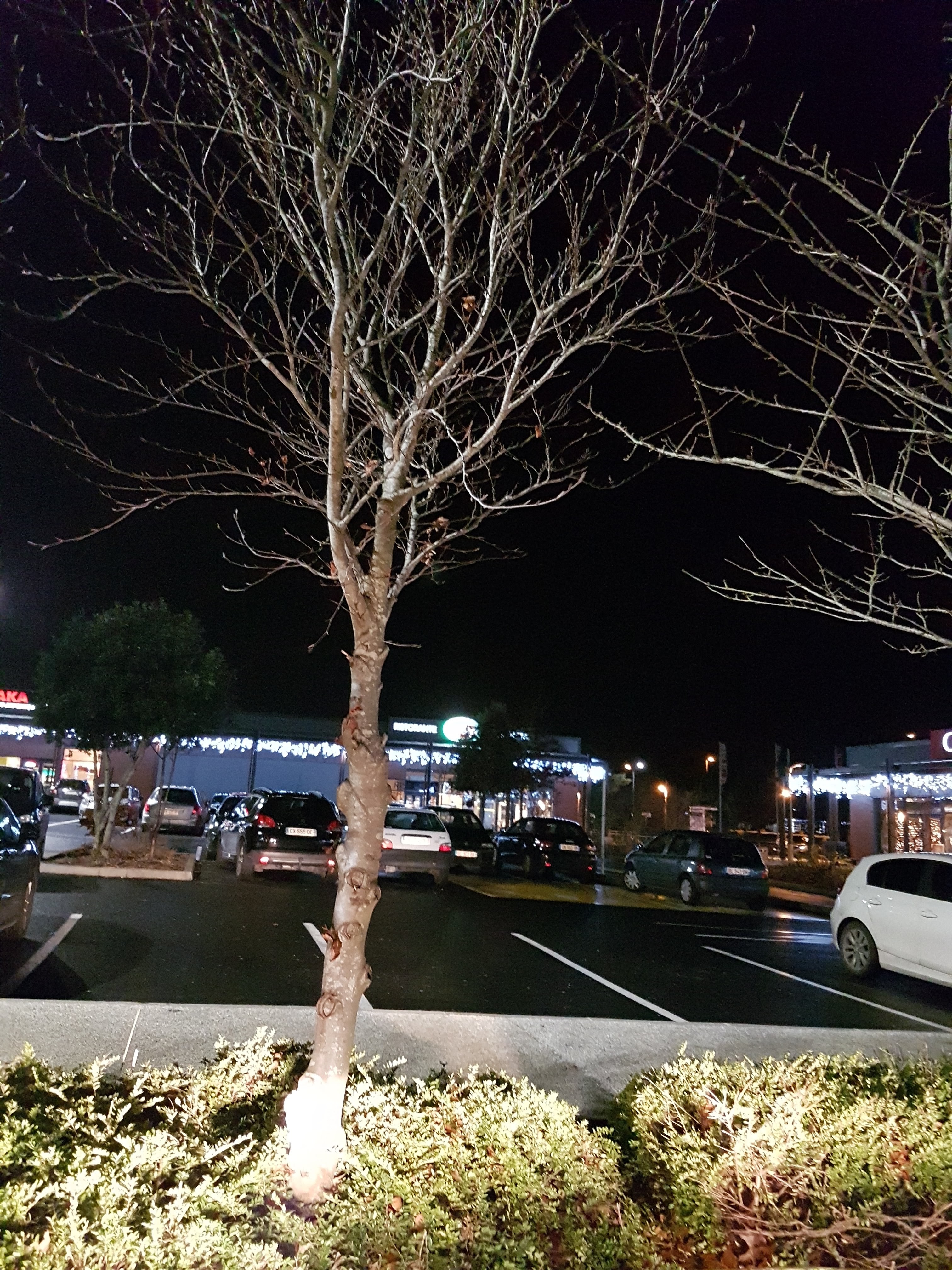Photo n° 2 de l'avis de STANIE.Z fait le 07/12/2018 à 22:28