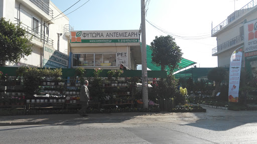 Καταστήματα για την αγορά φυτών βεράντας Αθήνα
