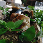 Photo n°1 de l'avis de Alessia85. fait le 13/07/2020 à 22:06 sur le  Agriturismo Naturabio à Alghero