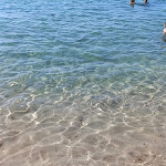 Photo n°9 de l'avis de BAR.A fait le 04/09/2022 à 14:05 sur le  Red Sun Village à Trinità d'Agultu e Vignola