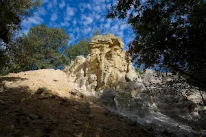 Buffalo Rock State Park image
