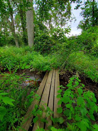 Nature Preserve «Rancocas Nature Center», reviews and photos, 794 Rancocas Mt Holly Rd, Westampton, NJ 08060, USA